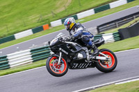 cadwell-no-limits-trackday;cadwell-park;cadwell-park-photographs;cadwell-trackday-photographs;enduro-digital-images;event-digital-images;eventdigitalimages;no-limits-trackdays;peter-wileman-photography;racing-digital-images;trackday-digital-images;trackday-photos